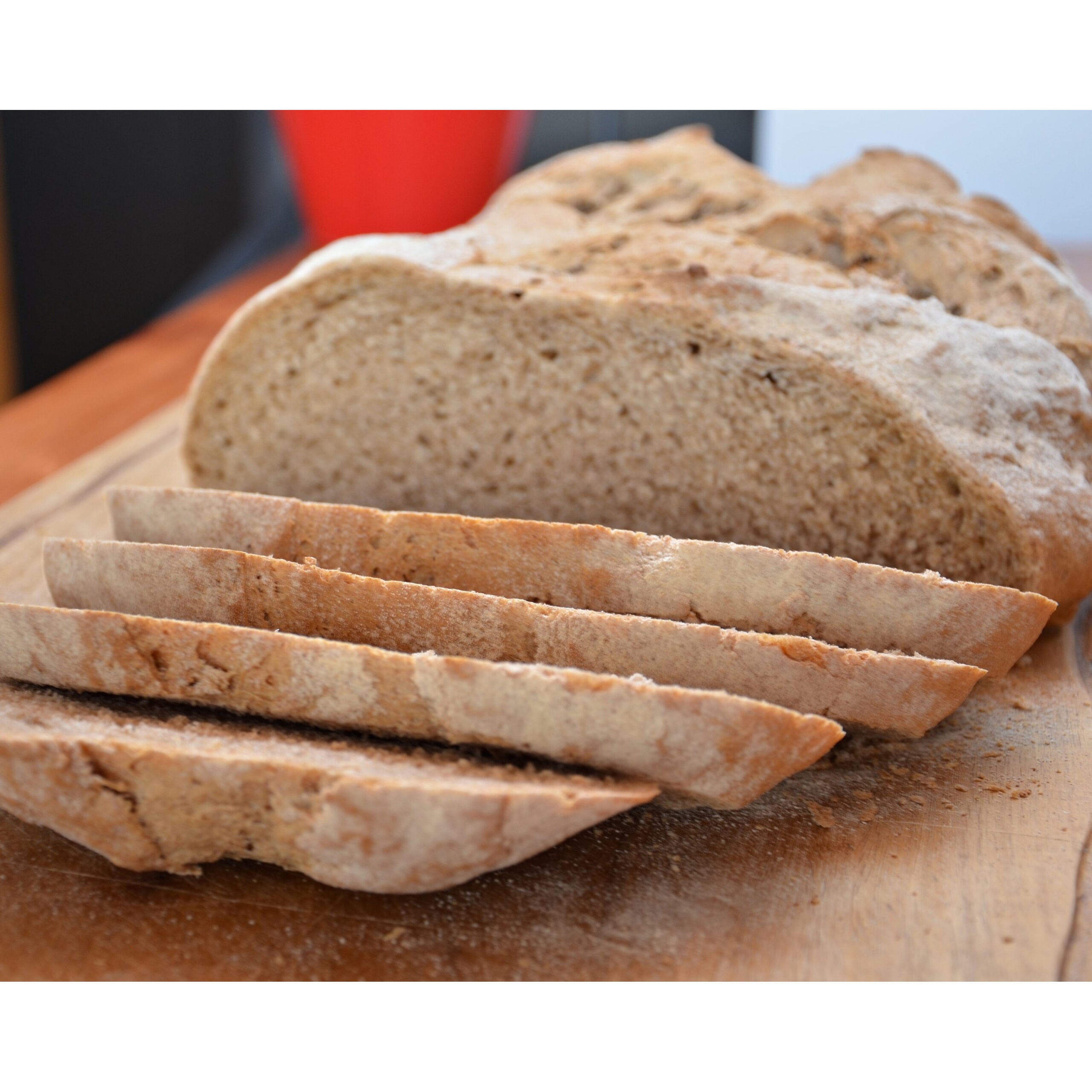 68451629_2843334689029163_5183997510200328192_n (1)